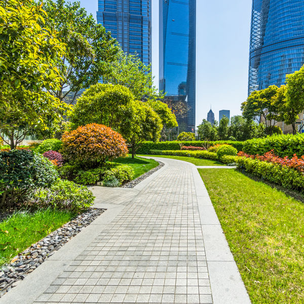 Commercial Landscaping Services in Bowie, MD